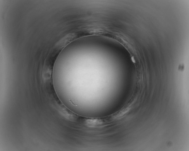 X0000096960281200802081237