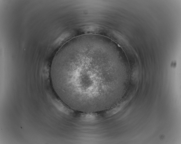 X0000096960282200802081237