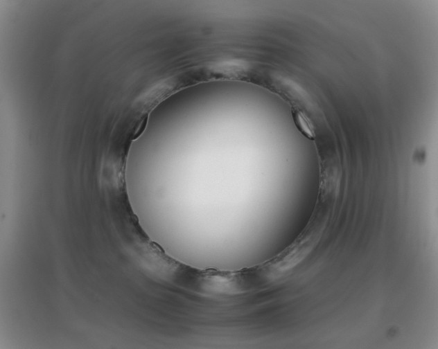 X0000096960285200802081237