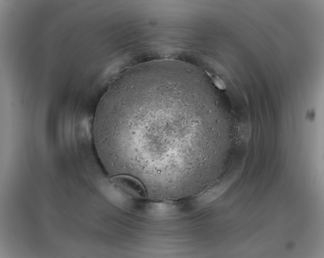 X0000096960286200802081237