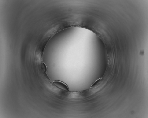 X0000096960287200802081237