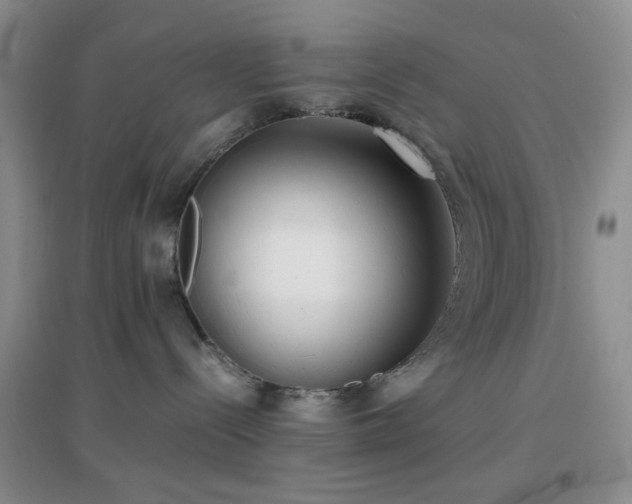 X0000096960288200802081237