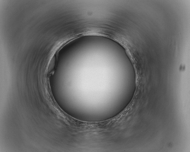 X0000096960289200802081236