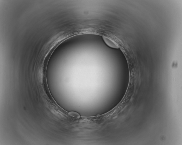 X0000096960290200802081236