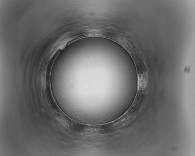 X0000096960291200802081236