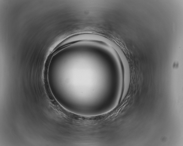 X0000096960292200802081236