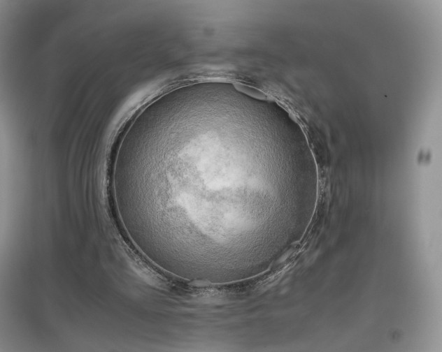 X0000096960293200802081236