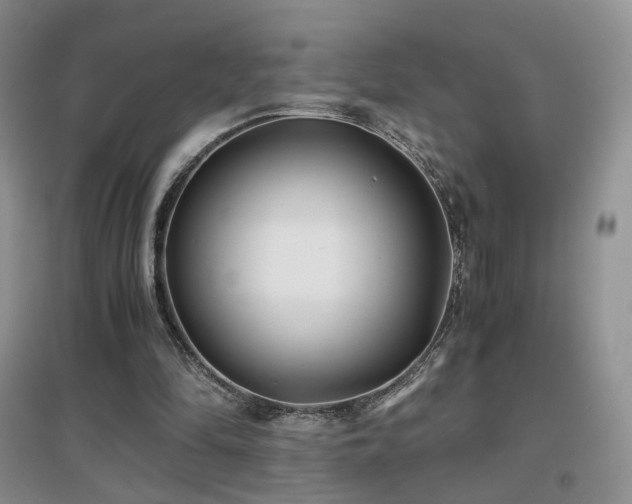 X0000096960294200802081236