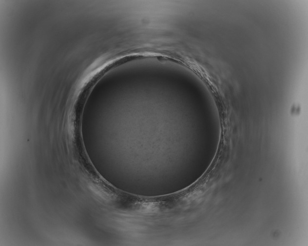 X0000096960295200802081236