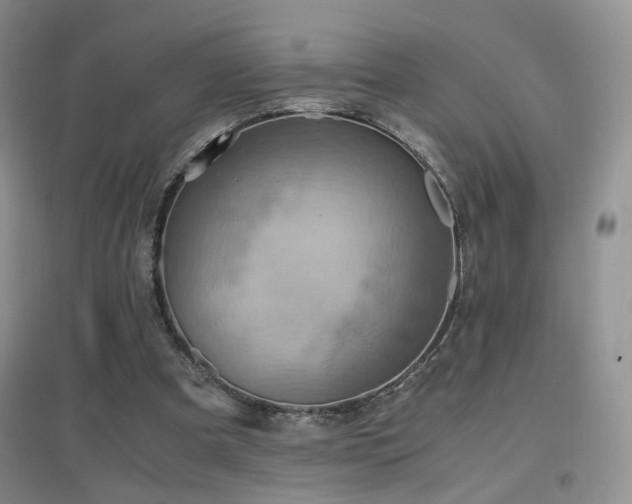 X0000096960297200802081236