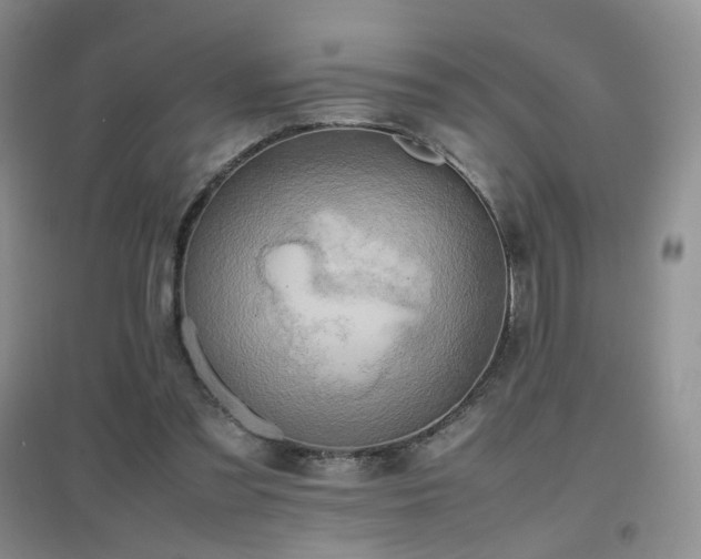 X0000096960301200802081236