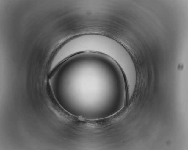 X0000096960302200802081236