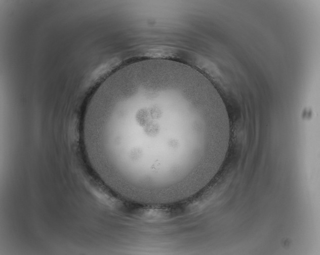 X0000096960303200802081236