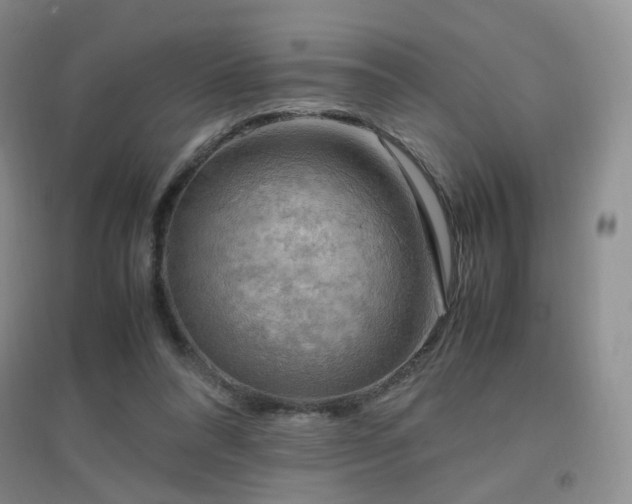 X0000096960304200802081236