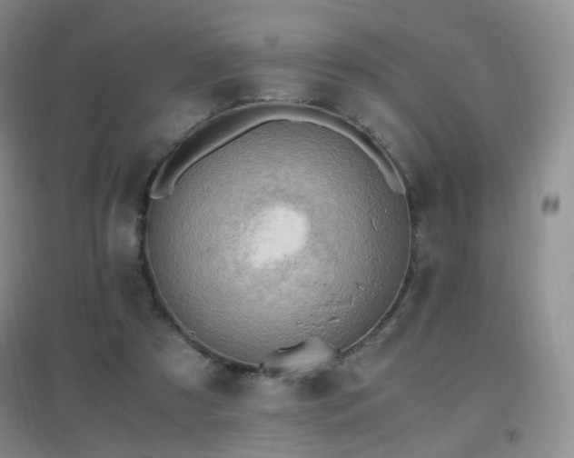 X0000096960305200802081236