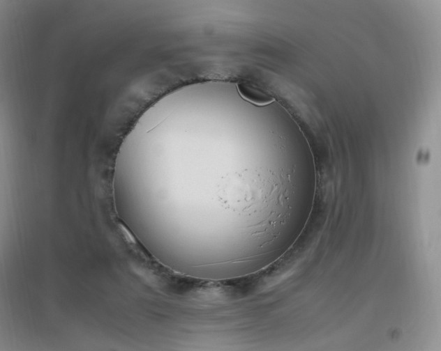 X0000096960307200802081236