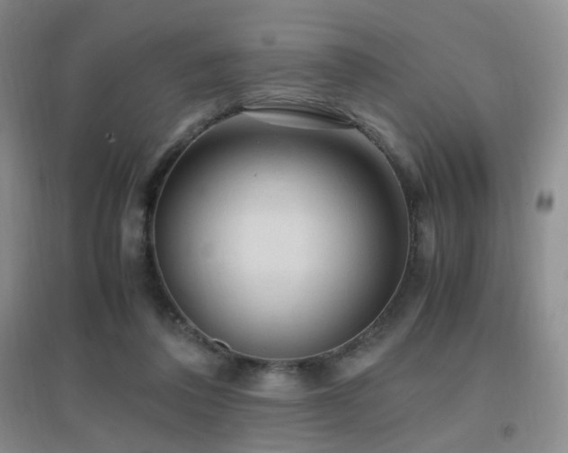 X0000096960308200802081236