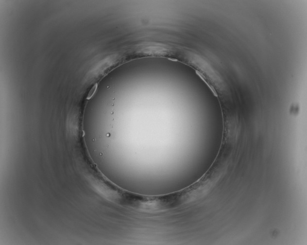 X0000096960309200802081236