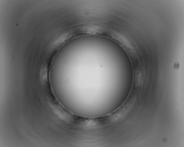 X0000096960310200802081236