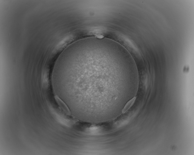 X0000096960312200802081236