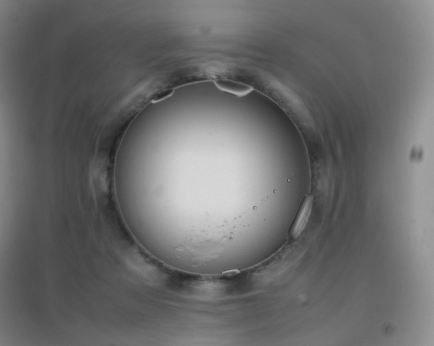 X0000096960313200802081236