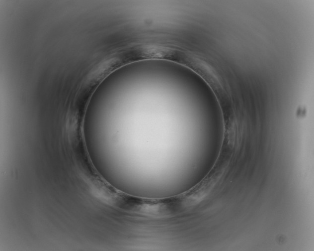 X0000096960314200802081236