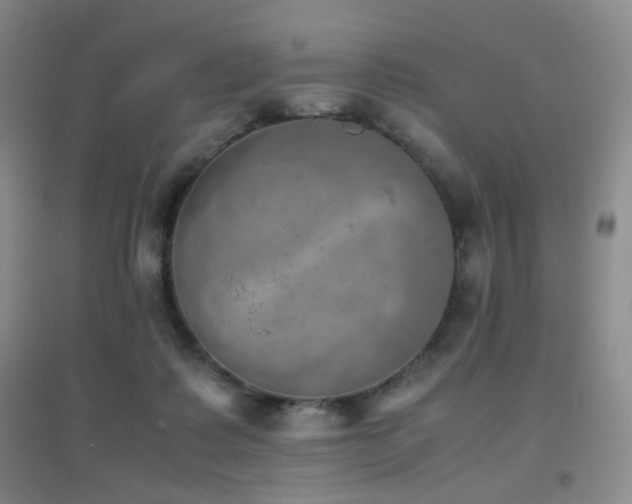 X0000096960315200802081236