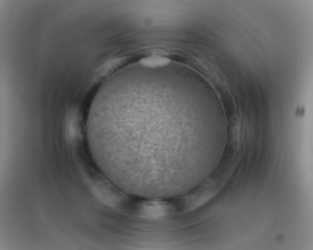 X0000096960316200802081236