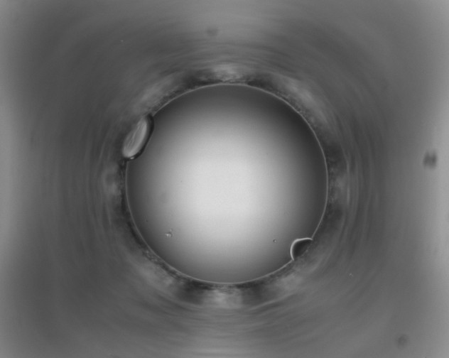 X0000096960317200802081236