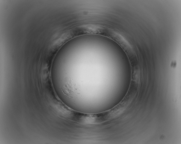 X0000096960318200802081236