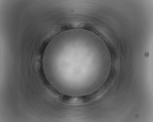 X0000096960319200802081236