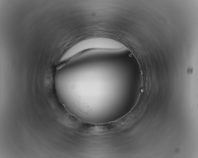 X0000096960320200802081236