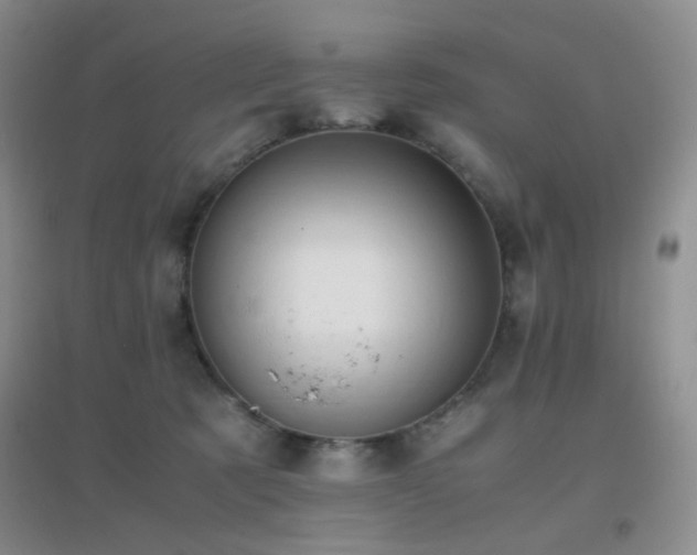 X0000096960321200802081236