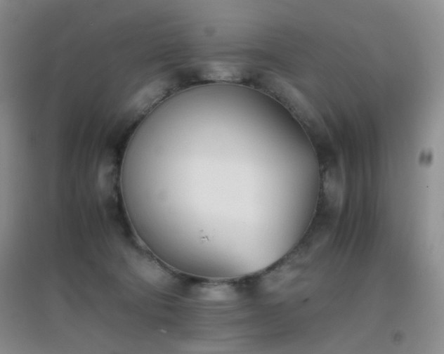 X0000096960322200802081236