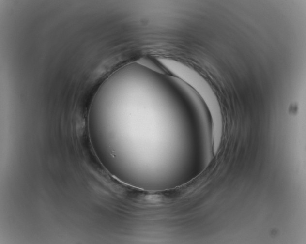 X0000096960324200802081236