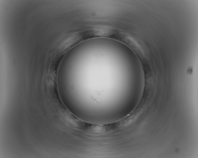 X0000096960325200802081236