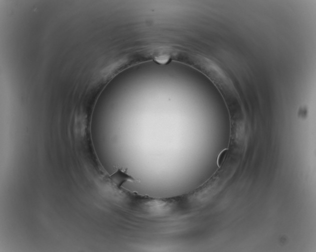 X0000096960326200802081236