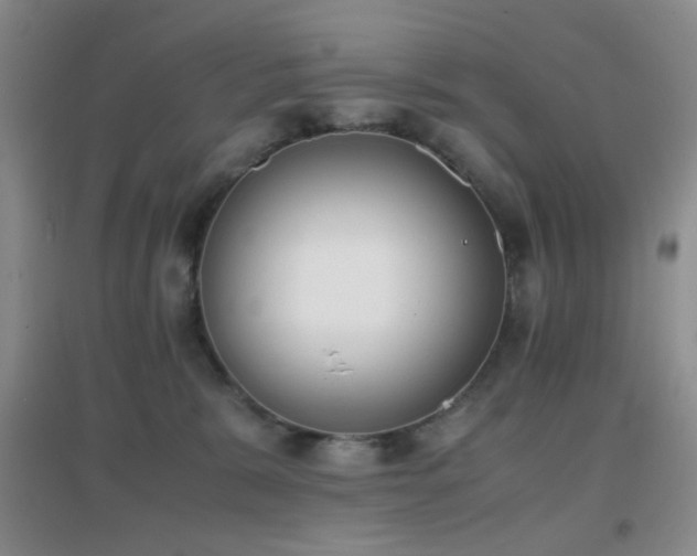 X0000096960327200802081236