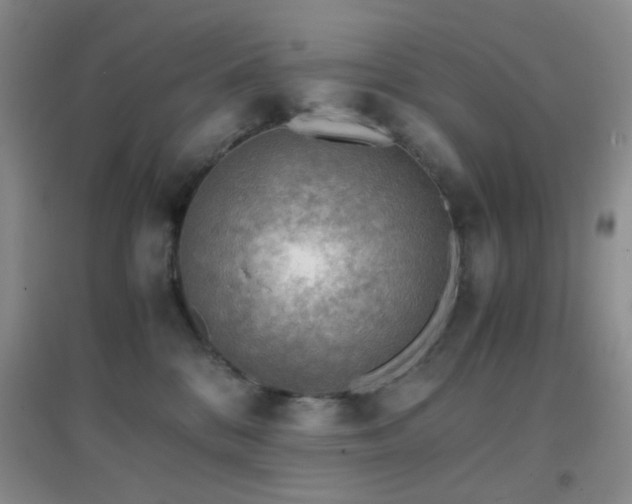 X0000096960328200802081236