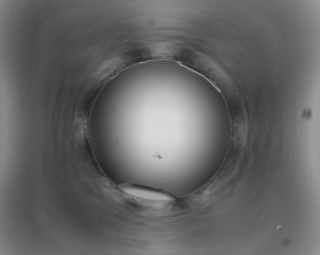 X0000096960329200802081236