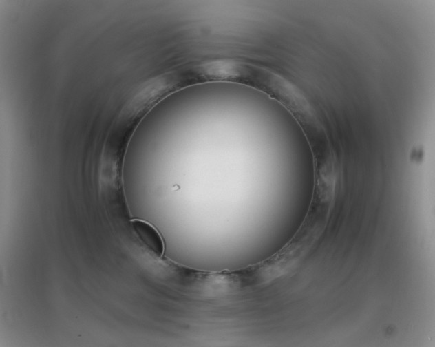 X0000096960330200802081236