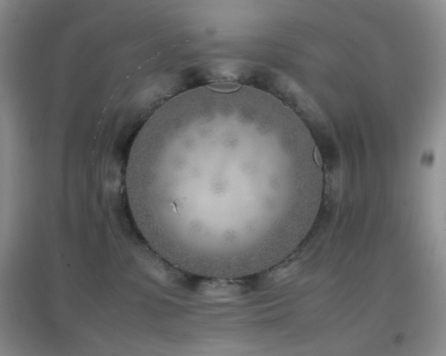 X0000096960331200802081236