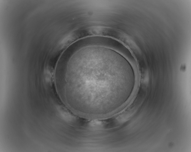 X0000096960332200802081236