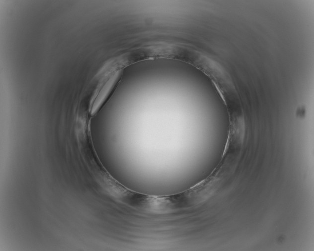 X0000096960333200802081236