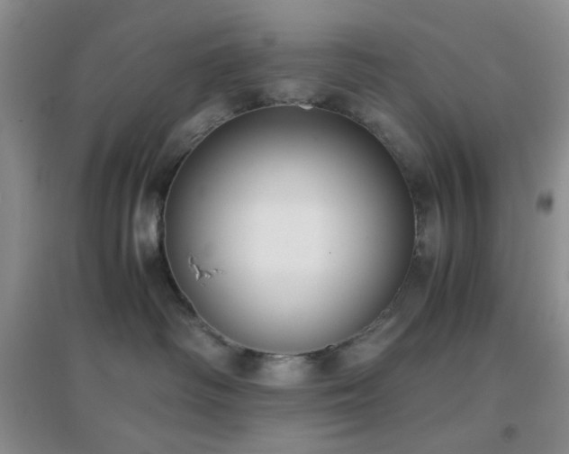 X0000096960334200802081236