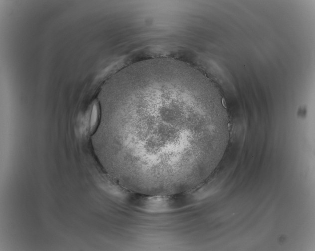 X0000096960335200802081236