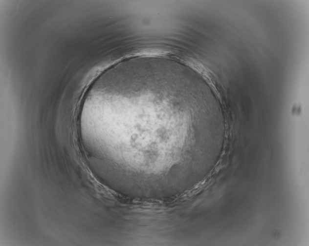 X0000096960337200802081235