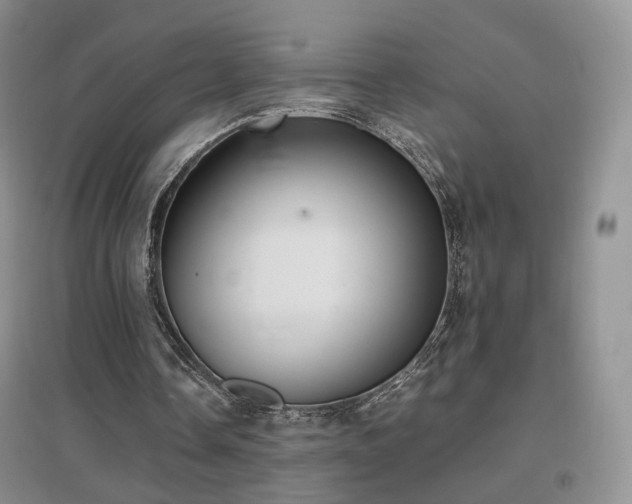 X0000096960338200802081235