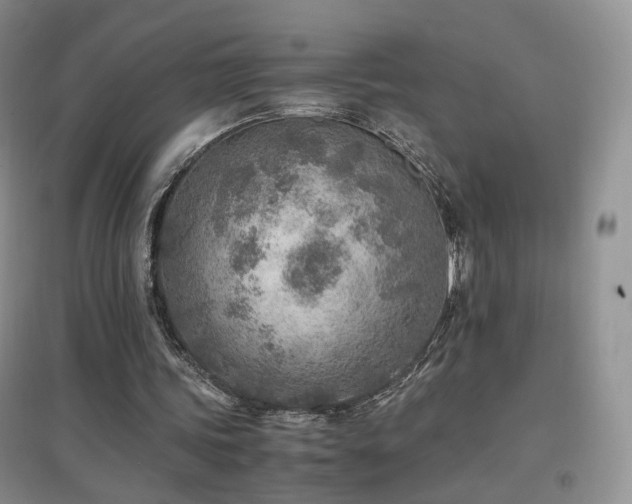 X0000096960339200802081235