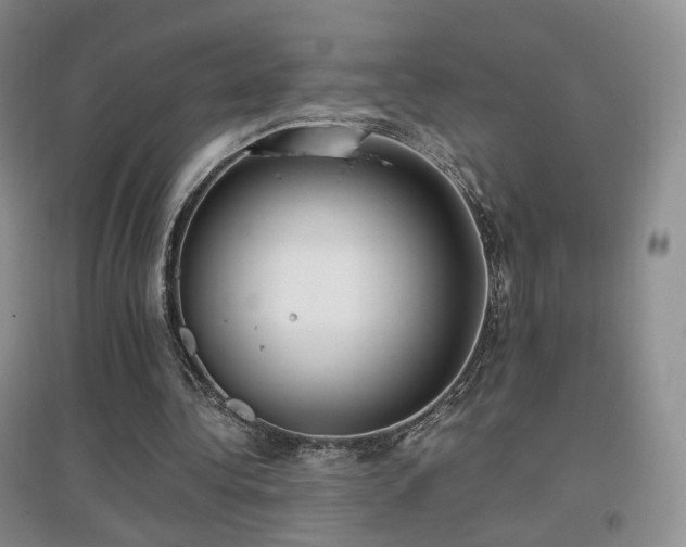 X0000096960340200802081235